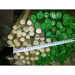 Eco Friendly Bamboo Garden Stakes Plant <b>Support</b> Sticks For Nursery <b>Tomato</b> Vineyard Farming Use - Product Image 6