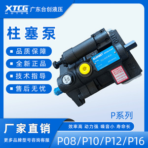 Bomba de pistón Zuosen P22-A3-F-R-01 hidráulica de alta presión para maquinaria de construcción - Product Image 5