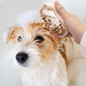 Electric Cat Brush with Steam <b>Massage</b> Comb Pet Cleaning & Bathing Supplies - Product Image 3