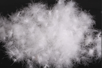 Rembourrage de couette en duvet d'oie blanc lavé de haute qualité à 100 %, avec certificat OEKO, matière première certifiée