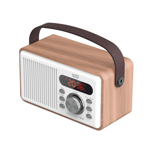 Speaker BT Radio Portabel Mendukung Pemutar Musik USB & Micro SD