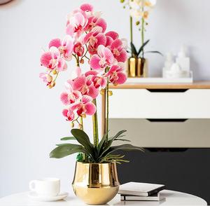 Flor Artificial de alto grado, al por mayor, en maceta decorativa, flor en maceta de <span class=keywords><strong>Dendrobium</strong></span> con toque Natural - Product Image 3