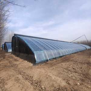 Serre solaire <span class=keywords><strong>passive</strong></span>, film PO anti-goutte, équipement de support complet pour l'<span class=keywords><strong>hydroponie</strong></span> agricole - Product Image 1