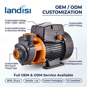 <span class=keywords><strong>Bomba</strong></span> <span class=keywords><strong>de</strong></span> refuerzo <span class=keywords><strong>de</strong></span> latón <span class=keywords><strong>de</strong></span> una etapa QB70 <span class=keywords><strong>de</strong></span> alta presión con gran caudal para toda la casa y elevación <span class=keywords><strong>de</strong></span> pozos - Product Image 5