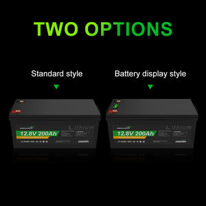 <span class=keywords><strong>12V</strong></span> 12,8 V 24V 25,6 V литиевая аккумуляторная батарея <span class=keywords><strong>12V</strong></span> 24v <span class=keywords><strong>100Ah</strong></span> <span class=keywords><strong>200Ah</strong></span> 2560WH 2.56KWH лодки электрические погрузчики батарея - Product Image 5