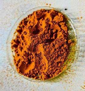 Calostro Bovino en Polvo de Grado Alimenticio, Ingrediente Lácteo Natural, Apto para Formulaciones de Alimentos Funcionales, Mezclas de Polvo Nutricional - Product Image 1