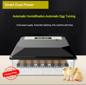Máquina de incubadora de incubadora de huevo de <span class=keywords><strong>pavo</strong></span> de <span class=keywords><strong>pollo</strong></span> solar de 220V + 12V de doble potencia con bandeja rodante - Product Image 3