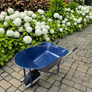 <span class=keywords><strong>Brouette</strong></span> et chariot à outils industriels en acier thermolaqué de haute qualité, personnalisés OEM, pour le transport - Product Image 6