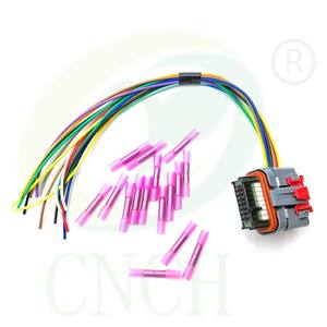 Módulo de control del actuador del acelerador de conexión EFI arnés de cola de cerdo TAC GM 6.0L LQ9 (02-07) - Product Image 1