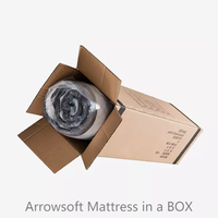 Style populaire matelas à ressorts de poche de 30cm sous vide dans une boîte