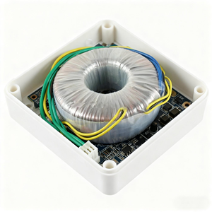 250va đầu ra biến áp hình xuyến biến áp cho xe khuếch đại DIY âm thanh cô lập biến áp 220V 60V - Product Image 4