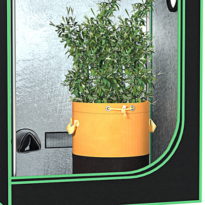 Sacs de culture extra larges <span class=keywords><strong>pour</strong></span> arbres fruitiers-Jardinières d'extérieur durables <span class=keywords><strong>pour</strong></span> pommes, agrumes, bleuets et légumes - Product Image 4