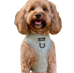 Collares de perro de diseño personalizado y correas a juego cubiertas de goma con logotipo correa de collar de perro fabricantes