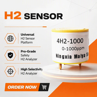 Détecteur d'hydrogène industriel pour la détection de fuites de pile à combustible, détecteur H2, surveillance des traces 0-1000 ppm, analyseur de gaz hydrogène à bas prix