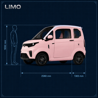 Voiture Utilitaire Électrique Compacte à Vendre : Mini-Voiture Électrique Fermée pour Adultes avec Homologation CEE COC