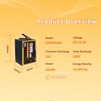 12400mAh 308V 6S 22.8V 100C FPV Yarış Dronları için Yüksek Voltajlı Yüksek Deşarjlı Lityum Polimer Pil OEM/ODM