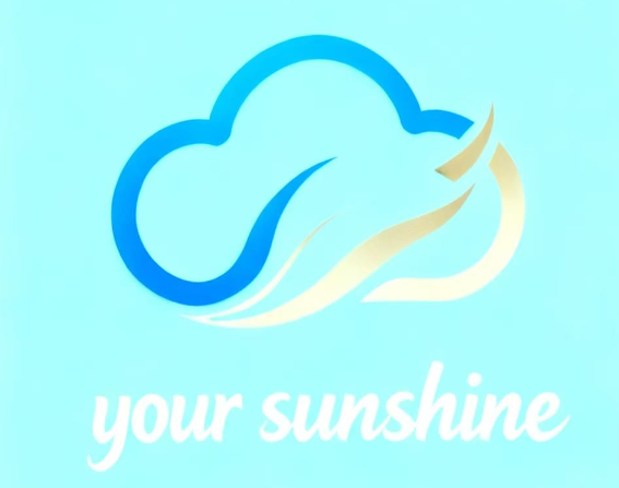 Wuhan Yunsuhe Import And Export Trade Co., Ltd. logo