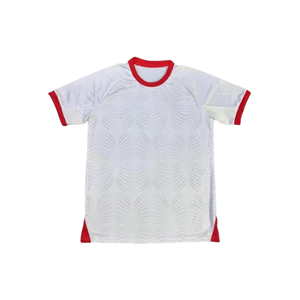 <span class=keywords><strong>Maillot</strong></span> de football à séchage rapide, équipe nationale de Jordanie, 2526, respirant, version fan, <span class=keywords><strong>maillot</strong></span> d'entraînement de football - Product Image 1