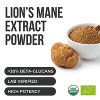 Extrait de Crinière de Lion en Poudre 1:1 Bêta-D-Glucane 30% Biologique USDA Corps Fruité Extrait à l'Eau Chaude Concentration Cérébrale Vrac OEM