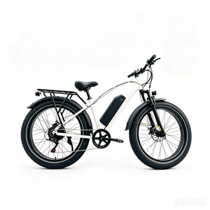 750W Electric Mountain Bike 26*4 Inches Electric Fat Tire Bike Local Warehouse Free Shipping for Commercial Rental Fleet Leasing - Product Image 1