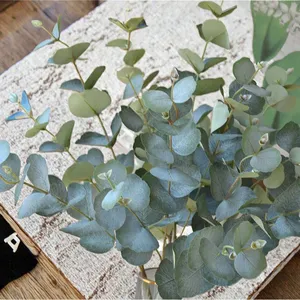Branches <span class=keywords><strong>de</strong></span> feuilles d'eucalyptus pour les arrangements floraux DIY <span class=keywords><strong>de</strong></span> mariage et d'événements à domicile, plantes vertes artificielles, verdure pour votre jour spécial - Product Image 3