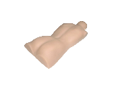 Modelo de Espalda de Maniquí para Entrenamiento de Acupuntura y <span class=keywords><strong>Tuina</strong></span> de Medicina Tradicional <span class=keywords><strong>China</strong></span> para Ciencias Médicas - Product Image 5