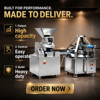 Máquina Automática de Bajo Costo para Dividir y Bolear Masa con Alta Hidratación para Panadería