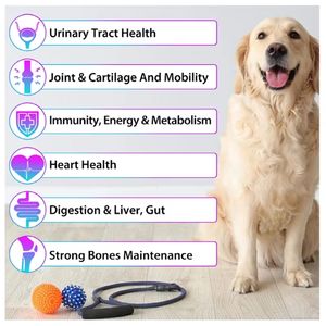 Dierlijke Vloeibare Vitamine Voedingssupplement 15 In 1 Multivitamine Druppels Voor De Gezondheid Van Huid, Vacht En Hart Bij Katten - Product Image 4