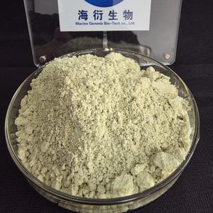 Extracto de Semilla de Calabaza de Grado Alimenticio, 60% Proteína Vegetal Orgánica en Polvo para Adultos, Beneficios para el Crecimiento Muscular y la Luminosidad de la Piel - Product Image 4