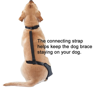 Penjepit lutut anjing peliharaan untuk ACL dengan penstabil samping logam dukungan ekstra mengurangi nyeri kawat gigi kaki belakang dapat disesuaikan untuk anjing - Product Image 5