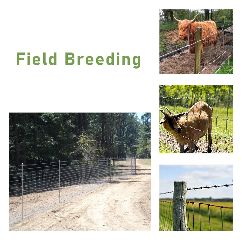 Animals Deer Form Field Fence Wire Mesh 2mm Galvanized Wire Fixed Knot Farm Wire Mesh sports game cattle fence