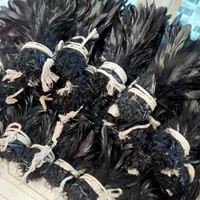 Fliegenbindematerialien Hahnenfedern Schwarze Federn am Strang für Karnevalskostüme Samba-Tanz-Performance Kopfschmuck Stoff