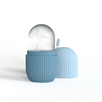 Magic-Cube de glace pour le visage, 3-f4, professionnel, sans douleur, Anti-rides, refroidisseur pour le visage, pour enlever les points noirs, traitement de la glace Fa