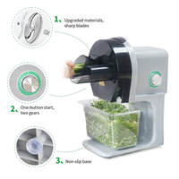 Coupe-légumes électrique automatique et multifonction Trancheuse d'ail et d'oignon vert Tranches de concombre Trancheuse de légumes et de carottes