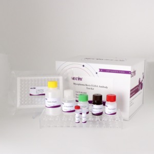 Mycobobovis antikor ELISA seti | 96T | CE sertifikalı | Sığır Serum testi - Product Image 3