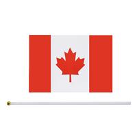 Expédition rapide, nouveau drapeau miniature 100% polyester du Canada et de tous les pays, à tenir à la main, pour les sports, les défilés, les fêtes, la décoration