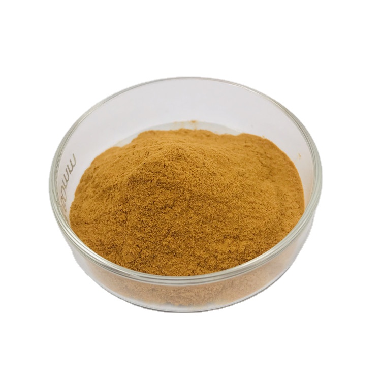 Оптовая продажа, экстракт плодов Terminalia Bellirica Terminalia Chebula