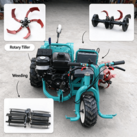 Mini motoculteur rotatif autoporté, cultivateur diesel/essence, machine de désherbage pour l'agriculture sur terres arides
