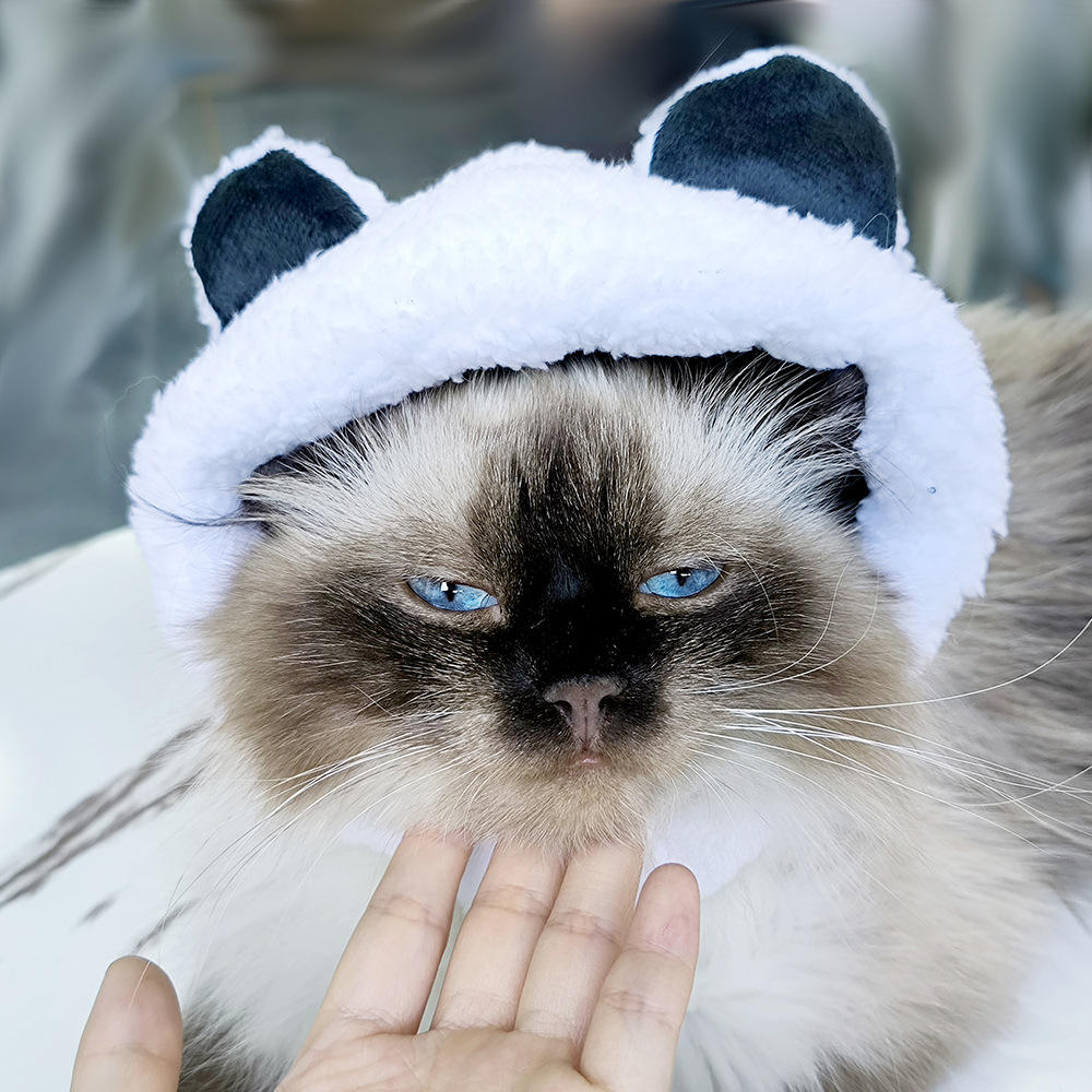 Tb04415 bear hat white