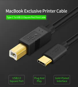 Cable USB tipo C para impresora, Cable USB 2,0 tipo C a tipo B para Escáner de impresora midi otg, venta al por mayor