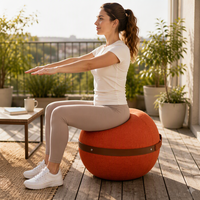 Chaise ballon de yoga économique avec housse amovible et lavable, design à fermeture éclair, pour assise active et entraînement du tronc, en stock