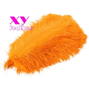 40-45 cm <span class=keywords><strong>Plumes</strong></span> d'autruche <span class=keywords><strong>Plumes</strong></span> d'autruche noires Décoration bon marché <span class=keywords><strong>Plumes</strong></span> d'autruche <span class=keywords><strong>blanches</strong></span> blanchies - Product Image 3