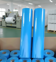 Tissu non tissé laminé en PP PE HDPE durable, protection supérieure, flexibilité, performance fiable, toiture synthétique