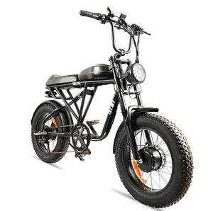 20 Inch with Rear Hub Motor 2000W 48V Lithium Battery Fat Tire Aluminum <b>Frame</b> Disc - Product Image 3