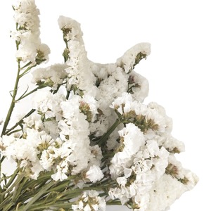 Bouquet <span class=keywords><strong>de</strong></span> fleurs séchées « Oublie-moi-pas » Fleurs séchées naturelles <span class=keywords><strong>Herbe</strong></span> <span class=keywords><strong>de</strong></span> la <span class=keywords><strong>pampa</strong></span> Fleurs réelles Décoration <span class=keywords><strong>de</strong></span> la maison Accessoires <span class=keywords><strong>de</strong></span> photographie Vente en gros - Product Image 5