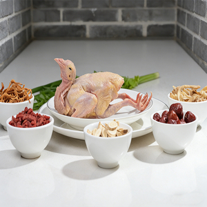 Pigeon entier enrichi en sélénium naturel, viande de volaille très nutritive pour la maison et la restauration - Product Image 6