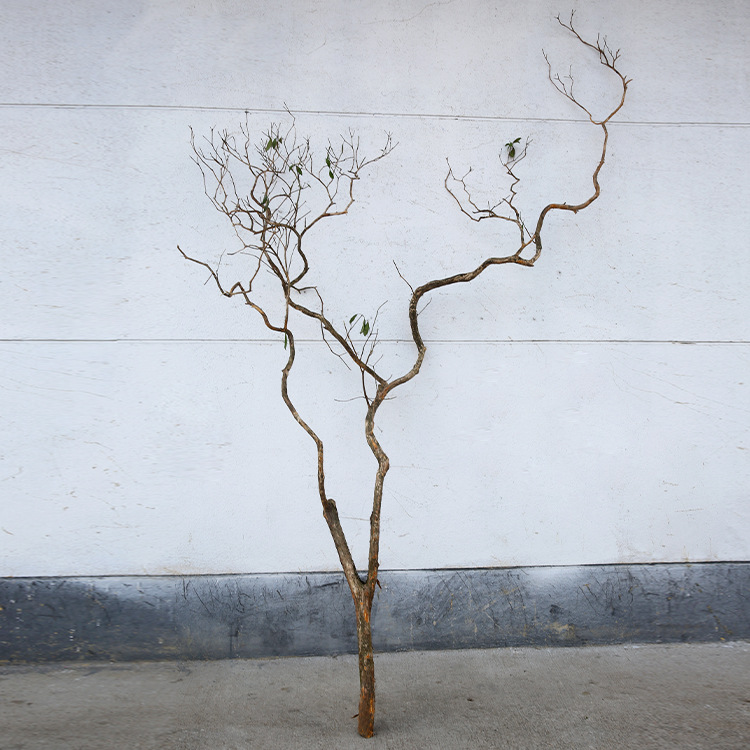 Small = 280cm (diameter 5-7cm)