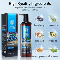 Sampo Krim Pelembap Bernutrisi Anti-Ketombe Asam Hialuronat Asam Amino Esens Blueberry Organik Perawatan Rambut Dewasa