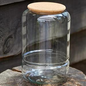Custom Made Hand-blown Clear Glass DIY <strong>Terrarium</strong> <strong>Kit</strong> - Product Image 3