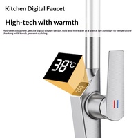 Keran Dapur Digital Pintar Sensor Cerdas Multifungsi Mewah, Dapat Diputar, Model Flying Rain, Dapat Ditarik, Snik Tap